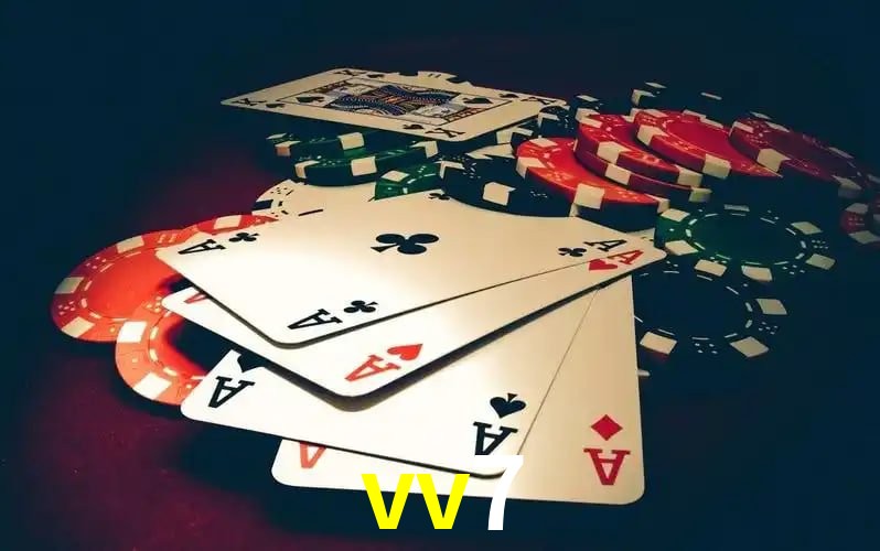 vv7 visual 2